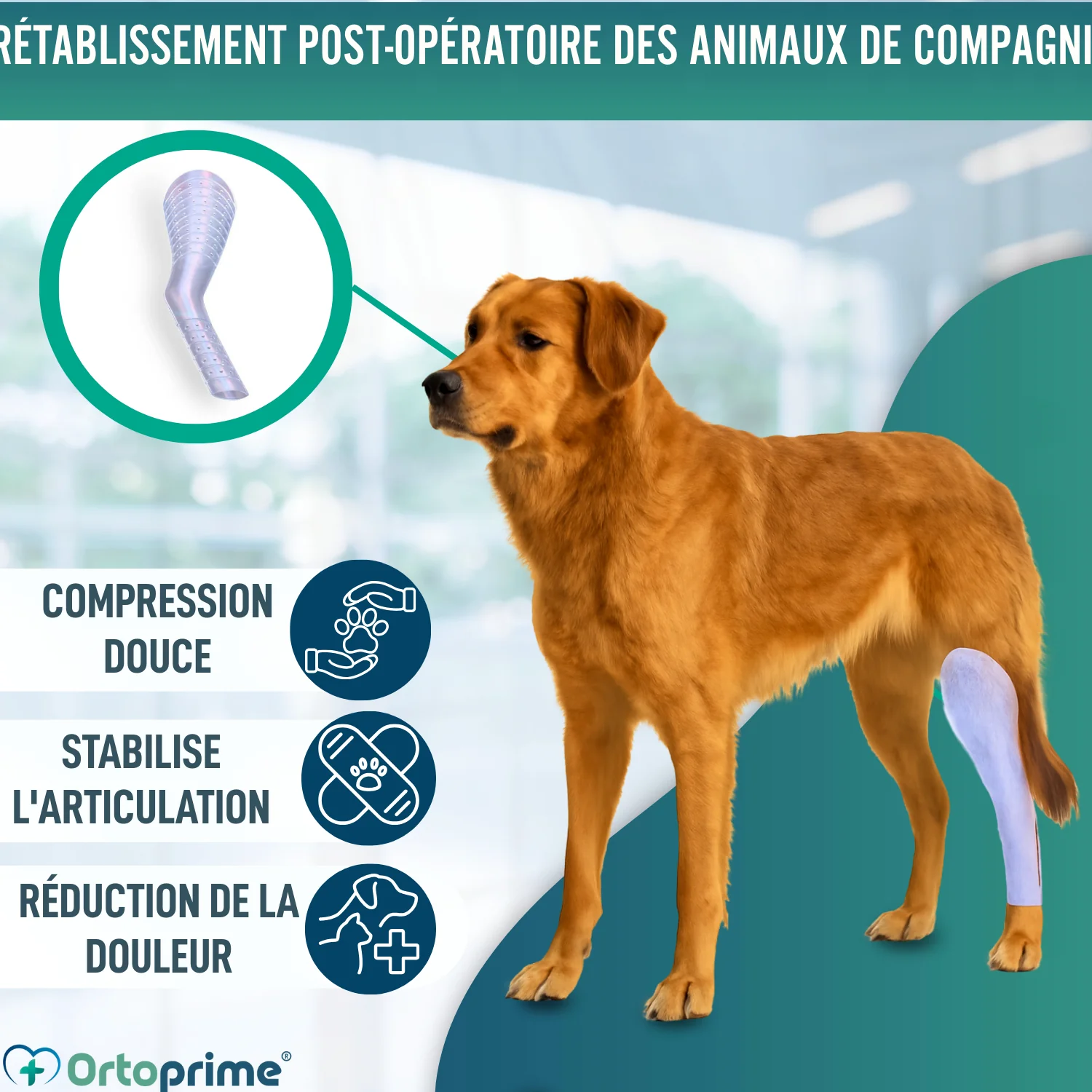 Image du produit 4