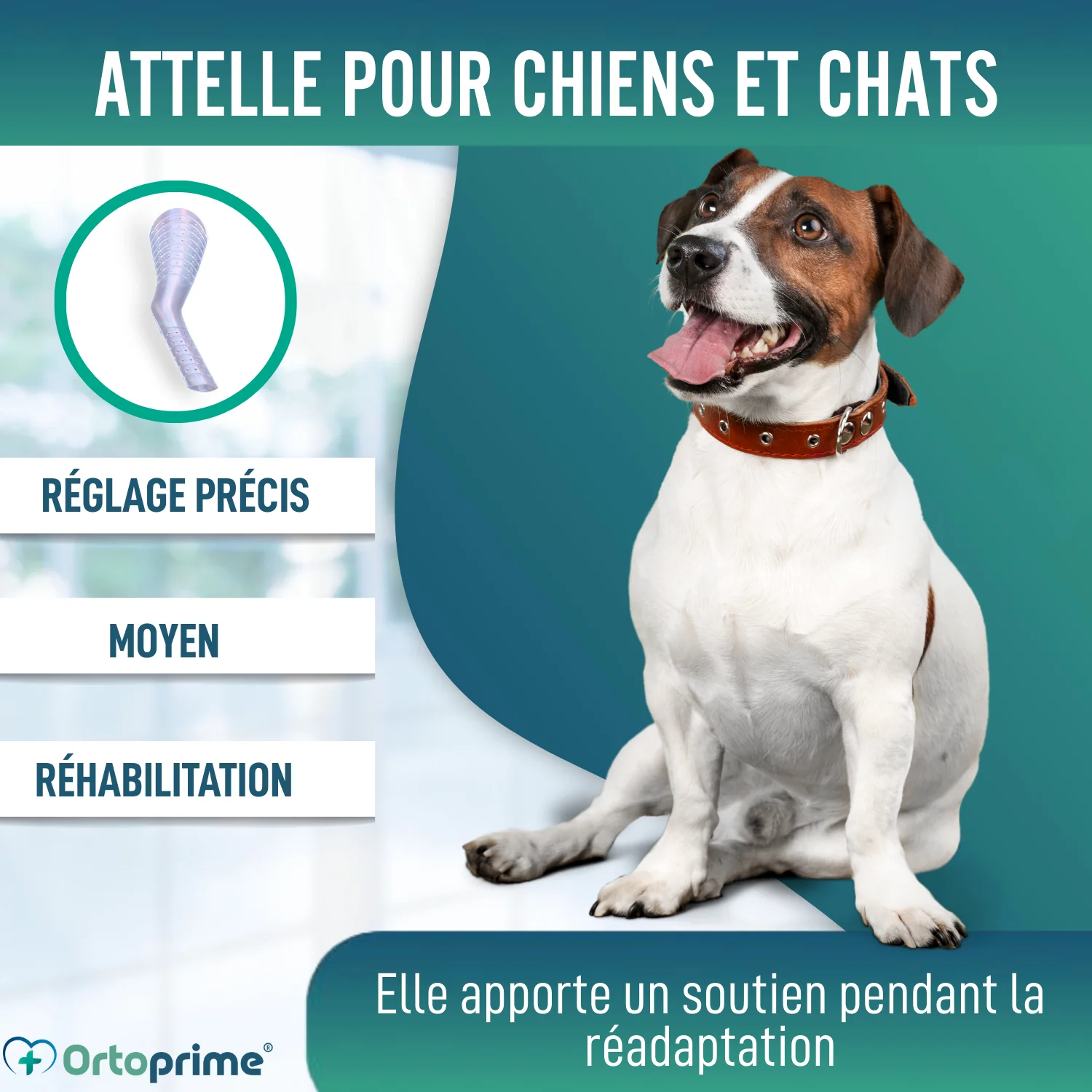 Image du produit 7
