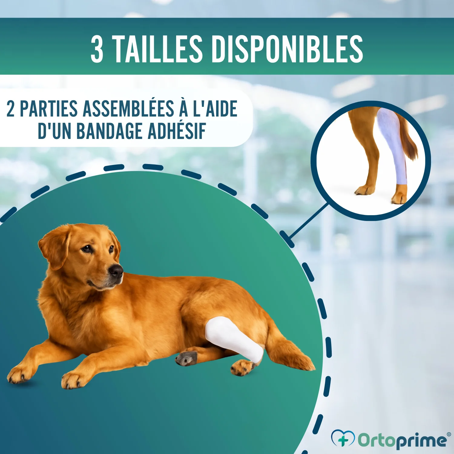 Image du produit 8