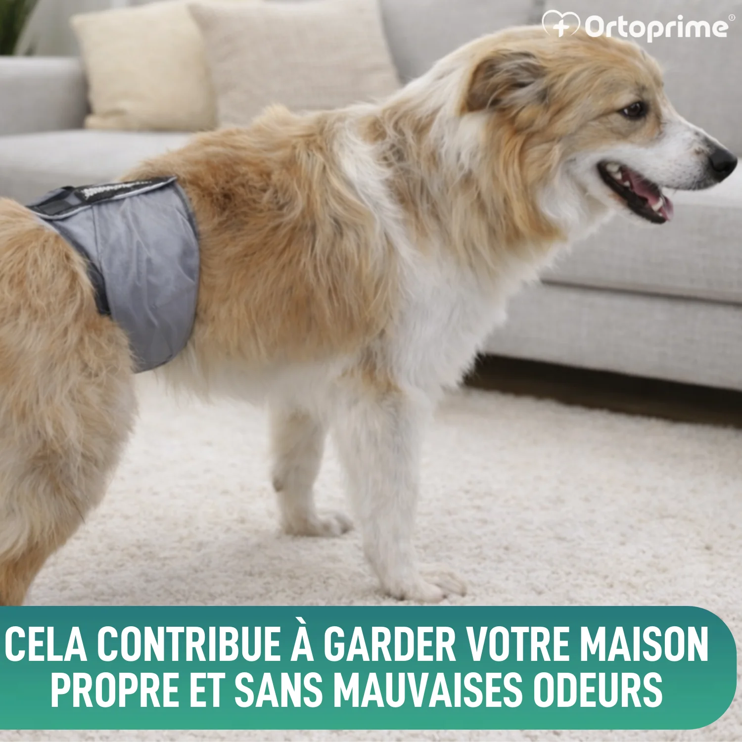 Image du produit 5