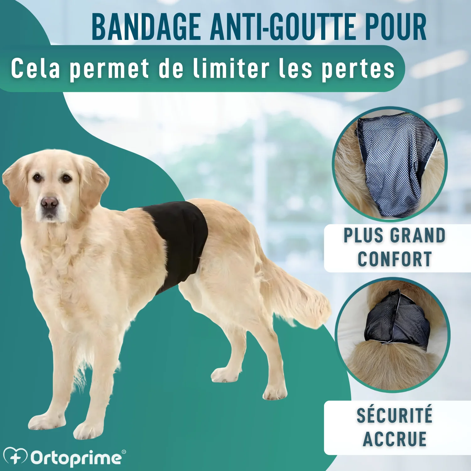 Image du produit 6