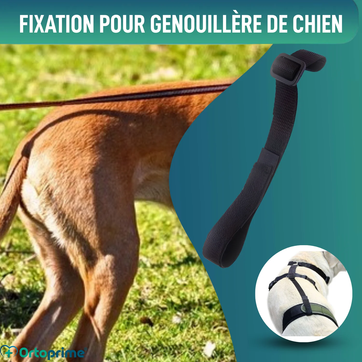 Image du produit 6