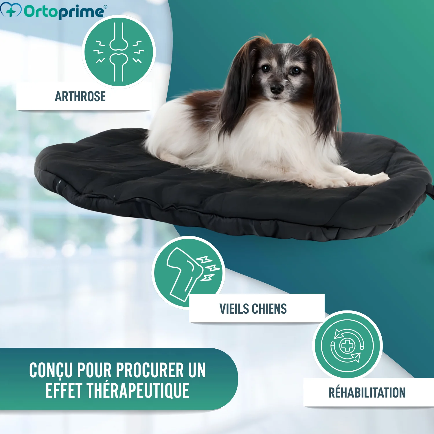 Image du produit 7