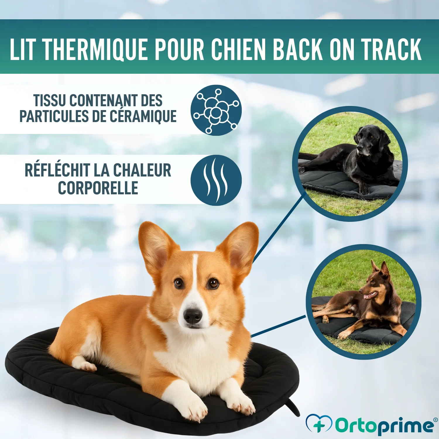 Image du produit 8