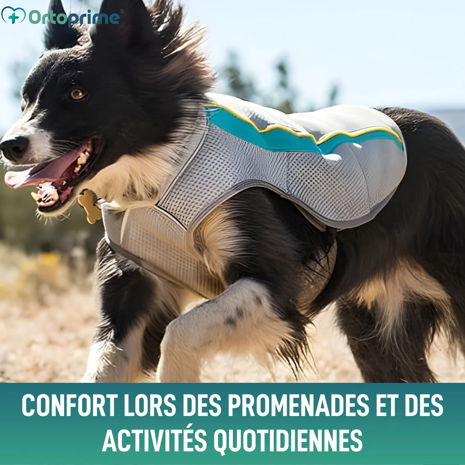 Image du produit 5