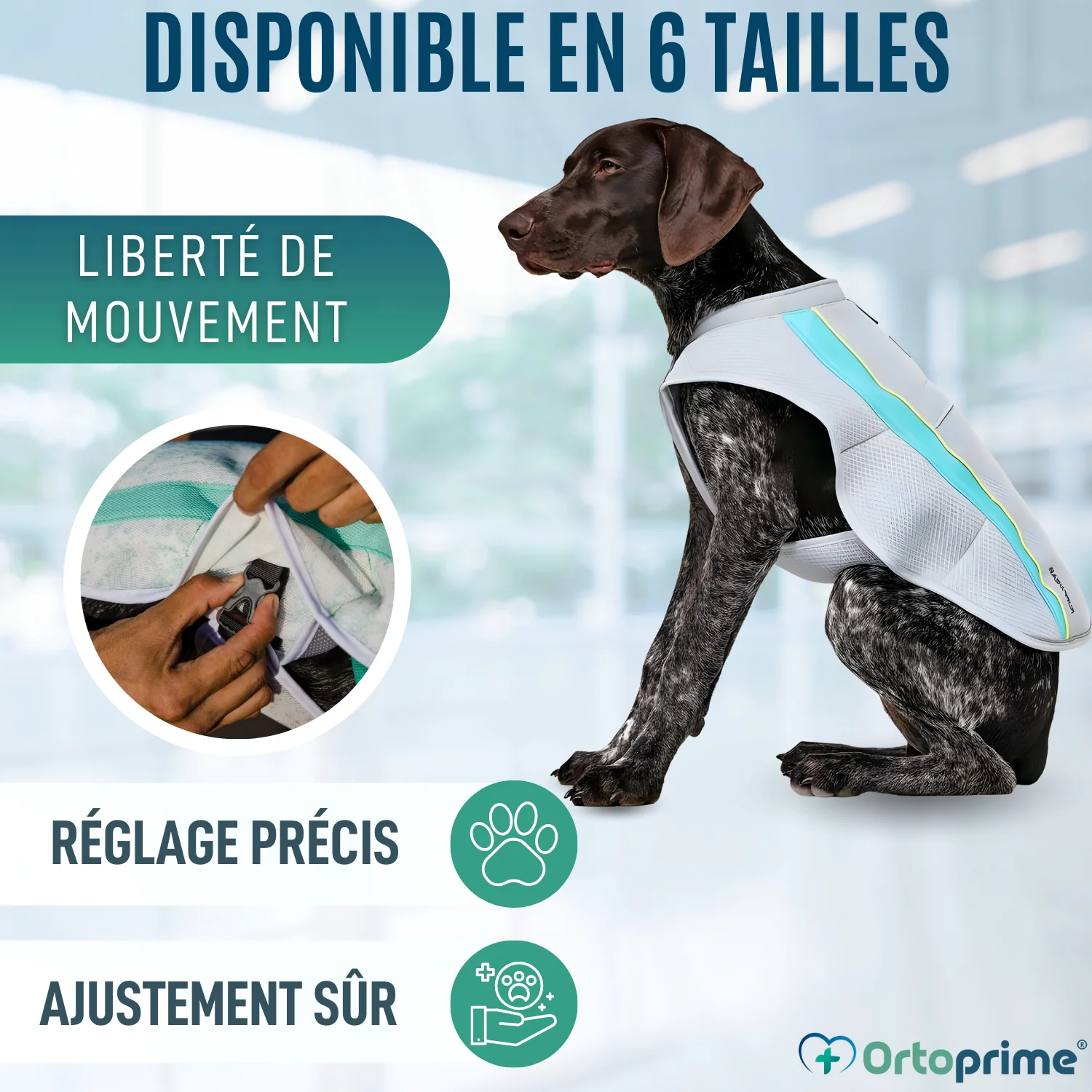 Image du produit 6
