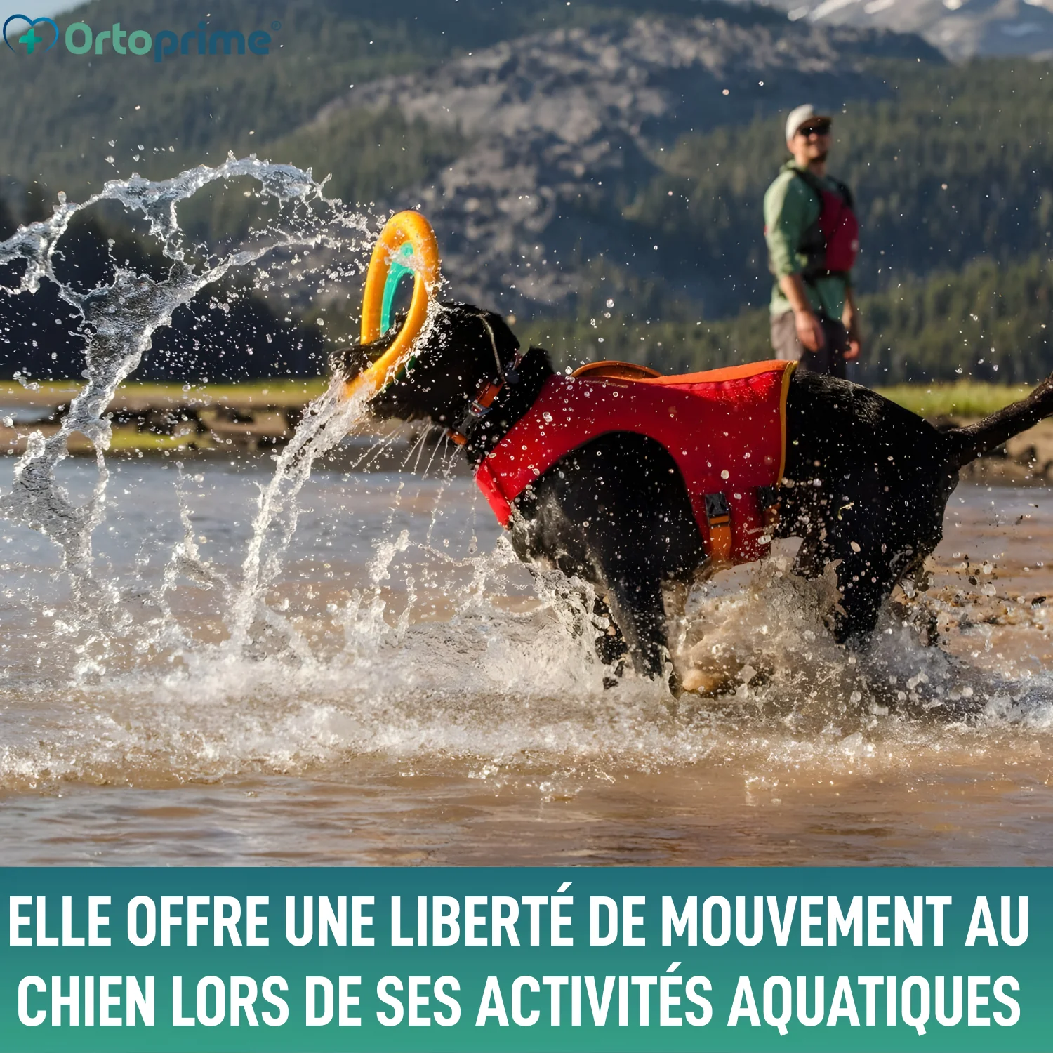 Image du produit 5