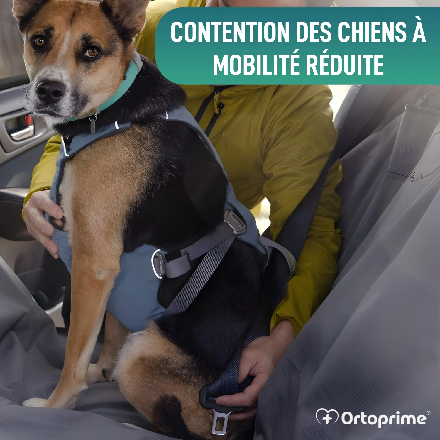 Image du produit 5