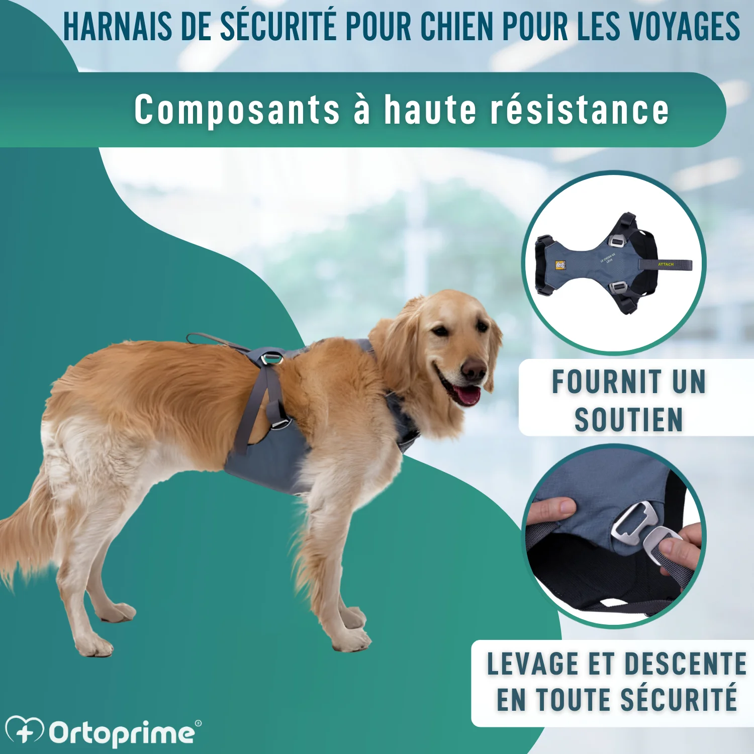 Image du produit 6