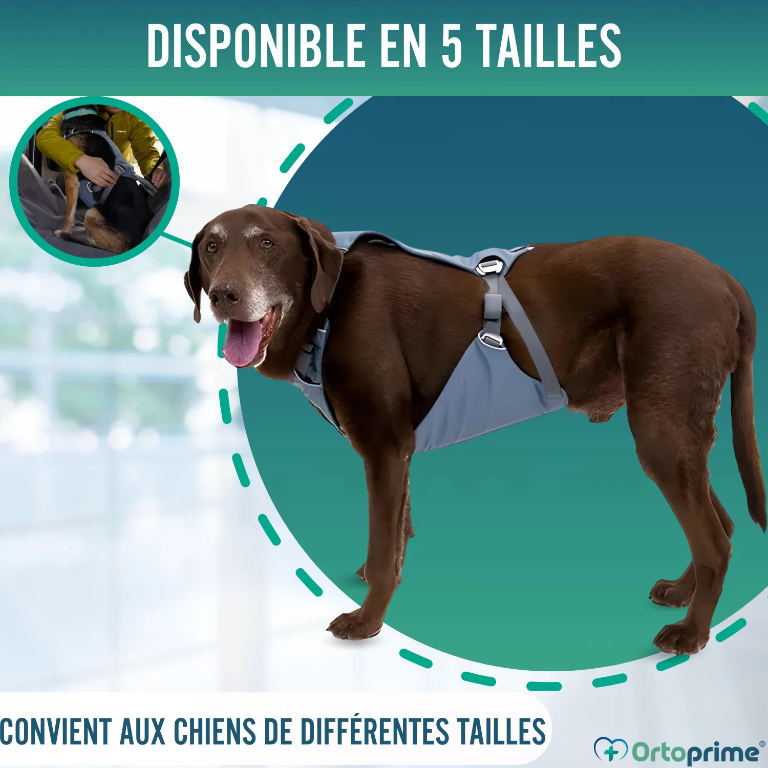 Image du produit 7