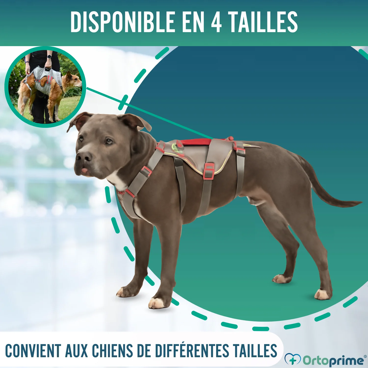 Image du produit 7
