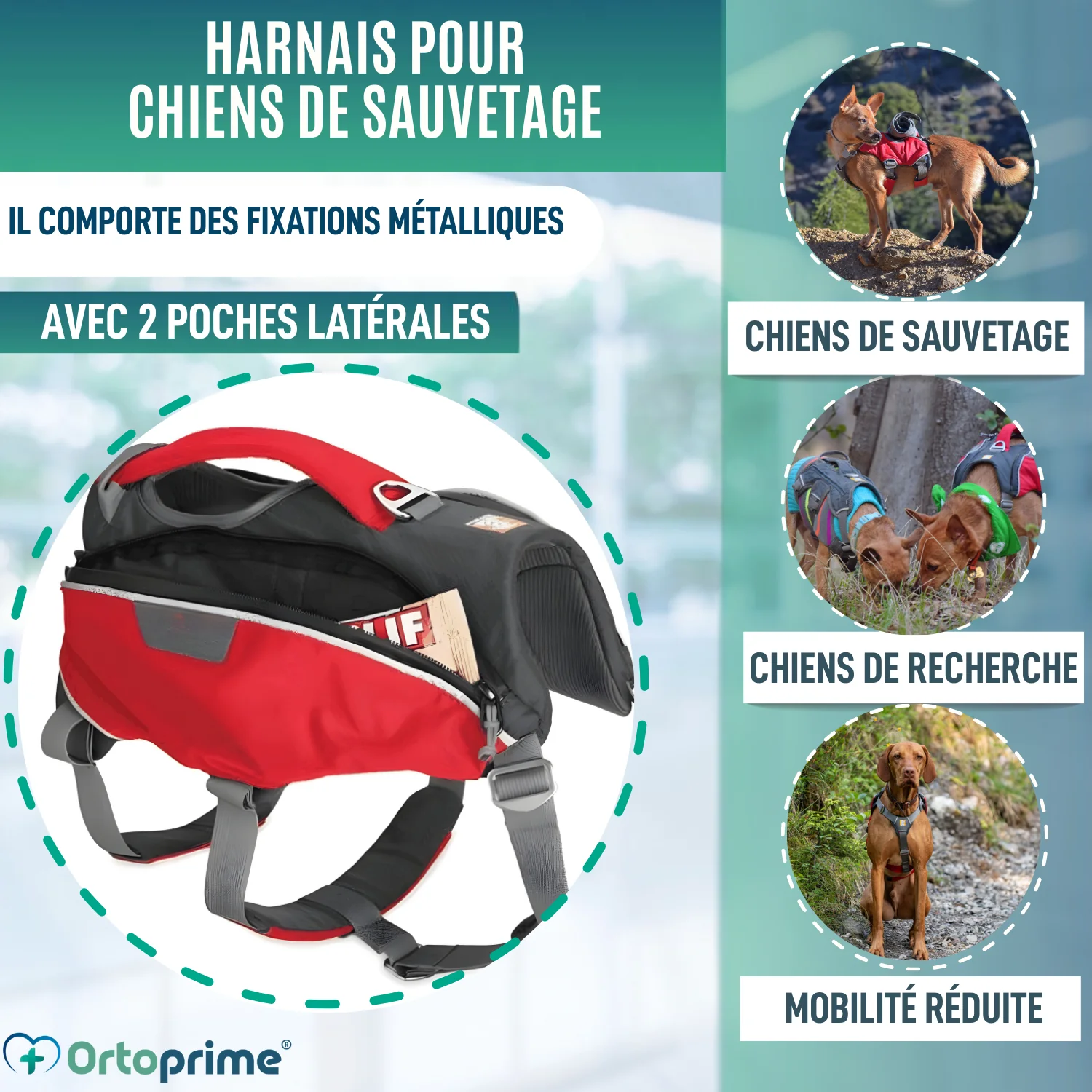 Image du produit 3