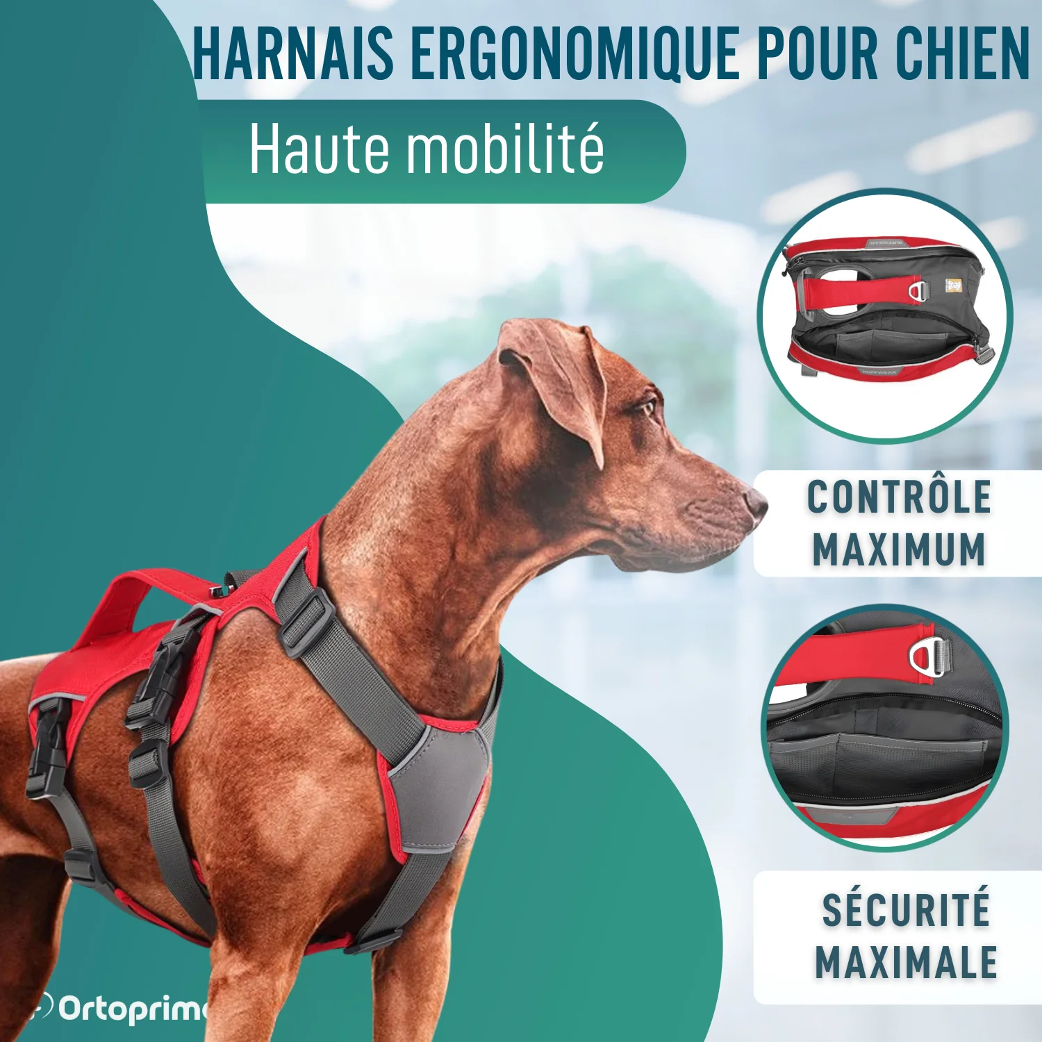 Image du produit 6