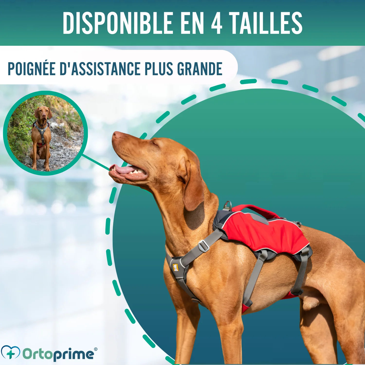 Image du produit 8