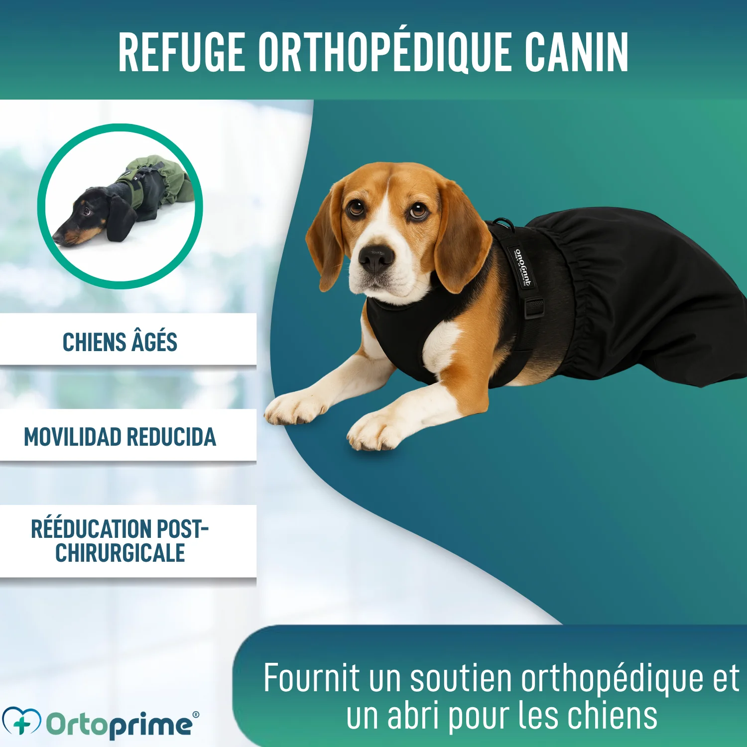 Image du produit 6