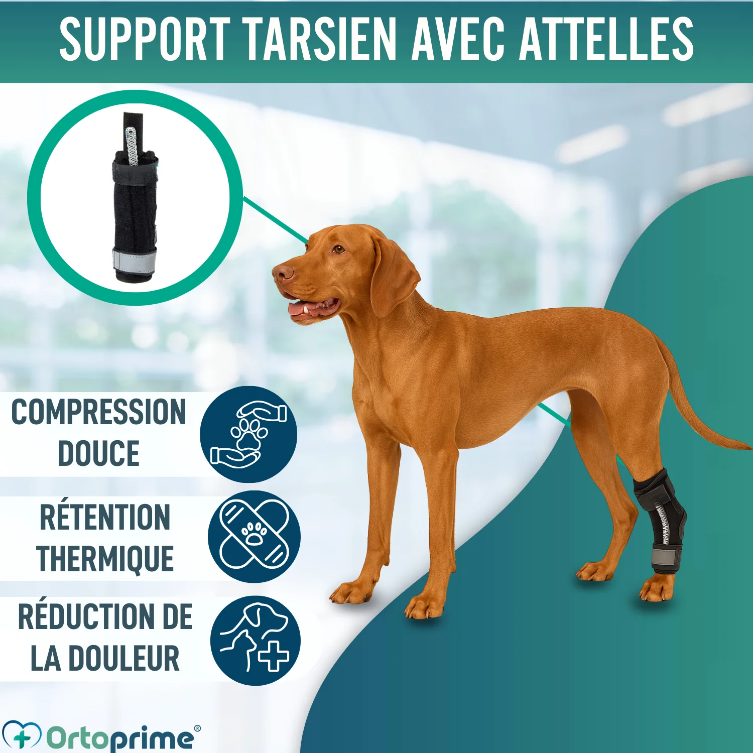 Image du produit 4