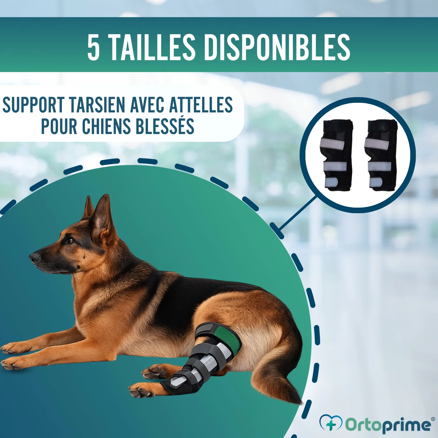 Image du produit 8